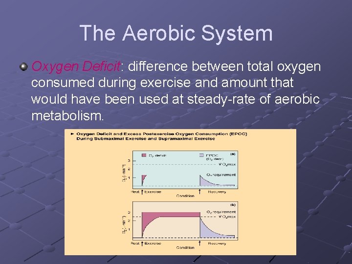 The Aerobic System Oxygen Deficit: difference between total oxygen consumed during exercise and amount