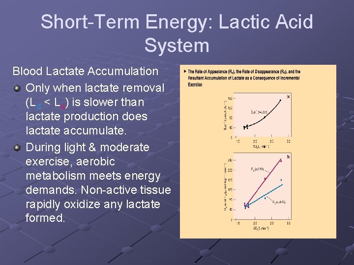 Short-Term Energy: Lactic Acid System Blood Lactate Accumulation Only when lactate removal (Ld <