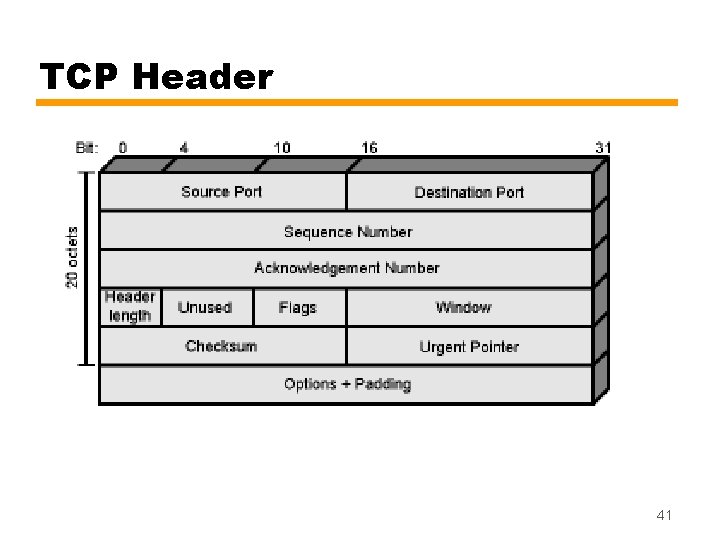 TCP Header 41 