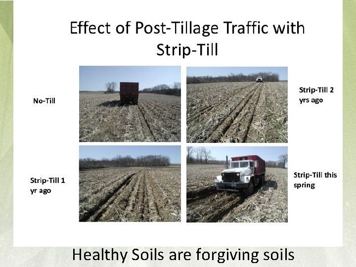 Healthy Soils are forgiving soils 