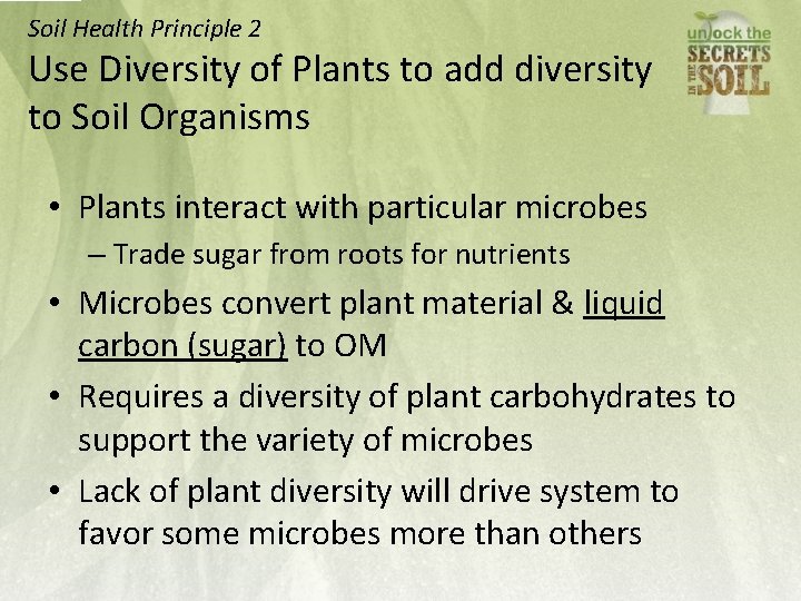 Soil Health Principle 2 Use Diversity of Plants to add diversity to Soil Organisms
