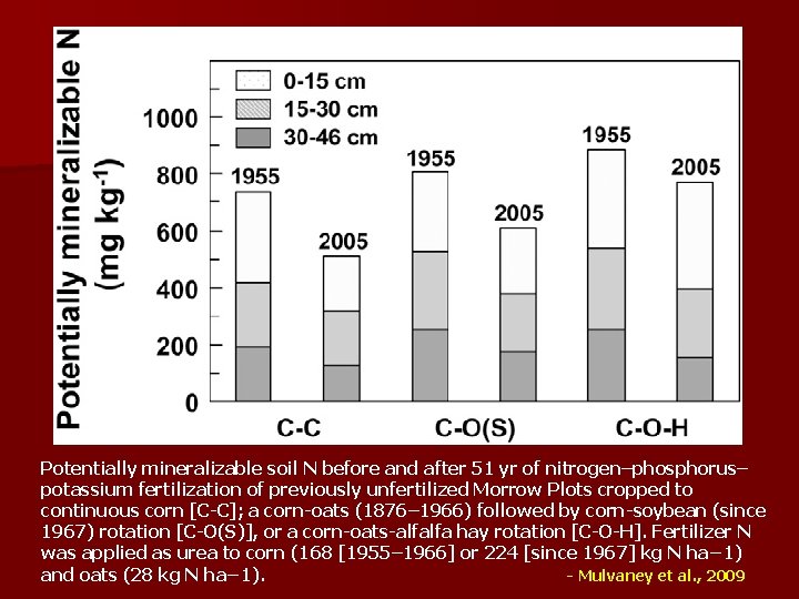 Potentially mineralizable soil N before and after 51 yr of nitrogen–phosphorus– potassium fertilization of