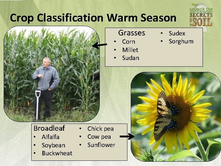  Crop Classification Warm Season Grasses • Corn • Millet • Sudan Broadleaf •