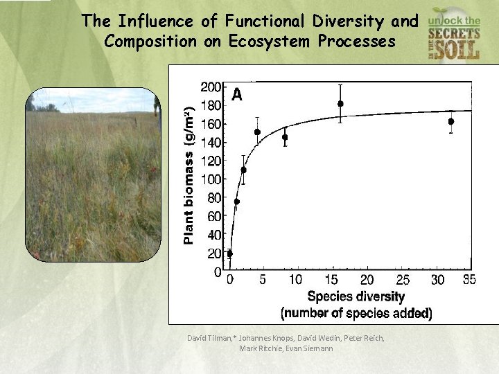 The Influence of Functional Diversity and Composition on Ecosystem Processes David Tilman, * Johannes