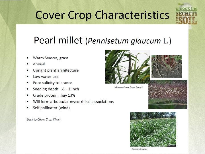 Cover Crop Characteristics 