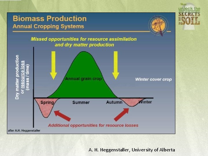 A. H. Heggenstaller, University of Alberta 