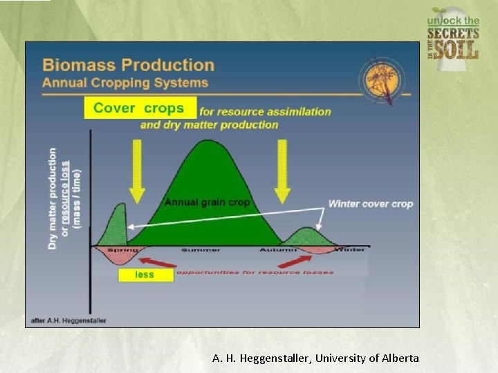 A. H. Heggenstaller, University of Alberta 