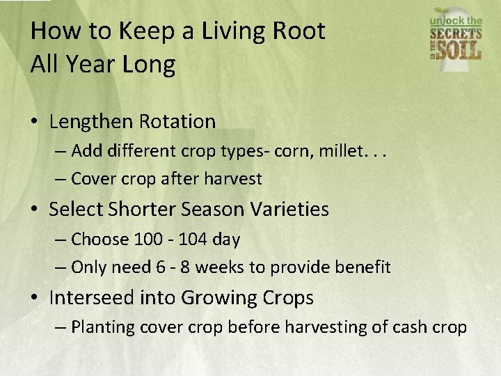 How to Keep a Living Root All Year Long • Lengthen Rotation – Add