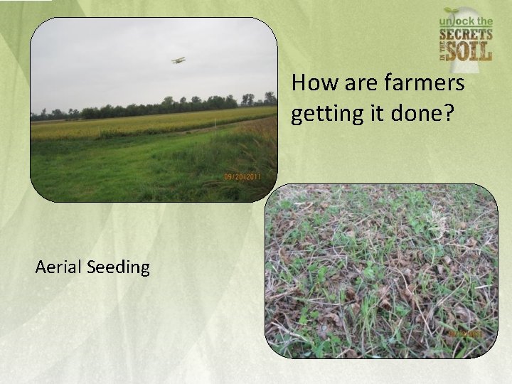 How are farmers getting it done? Aerial Seeding 