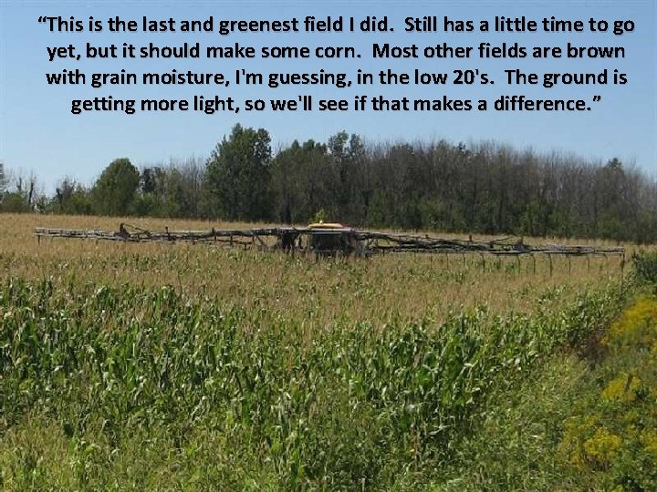 “This is the last and greenest field I did. Still has a little time
