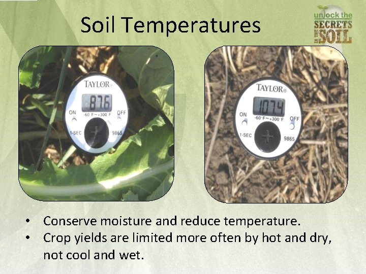 Soil Temperatures • Conserve moisture and reduce temperature. • Crop yields are limited more