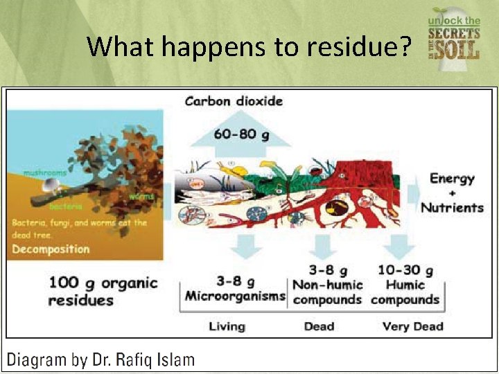 What happens to residue? 