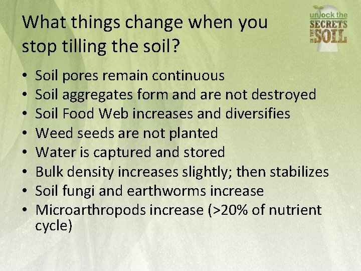 What things change when you stop tilling the soil? • • Soil pores remain