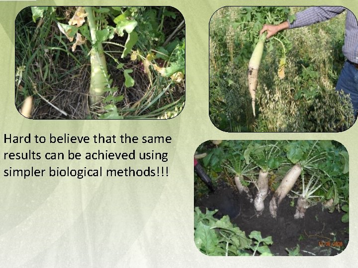 Hard to believe that the same results can be achieved using simpler biological methods!!!