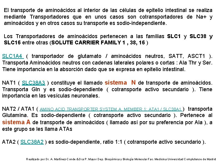 El transporte de aminoácidos al interior de las células de epitelio intestinal se realiza