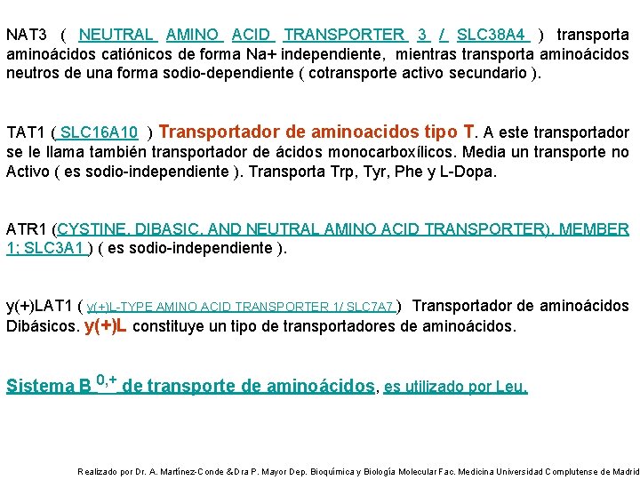 NAT 3 ( NEUTRAL AMINO ACID TRANSPORTER 3 / SLC 38 A 4 )