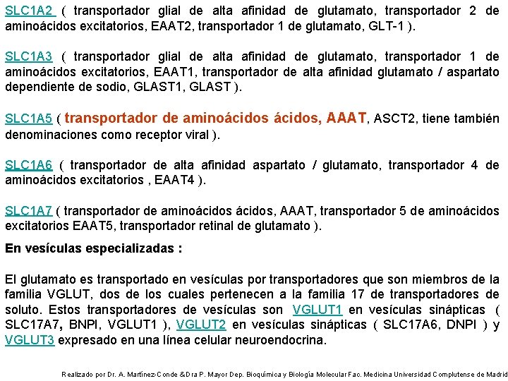 SLC 1 A 2 ( transportador glial de alta afinidad de glutamato, transportador 2