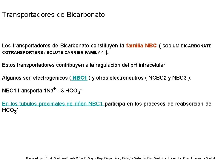 Transportadores de Bicarbonato Los transportadores de Bicarbonato constituyen la familia NBC ( SODIUM COTRANSPORTERS