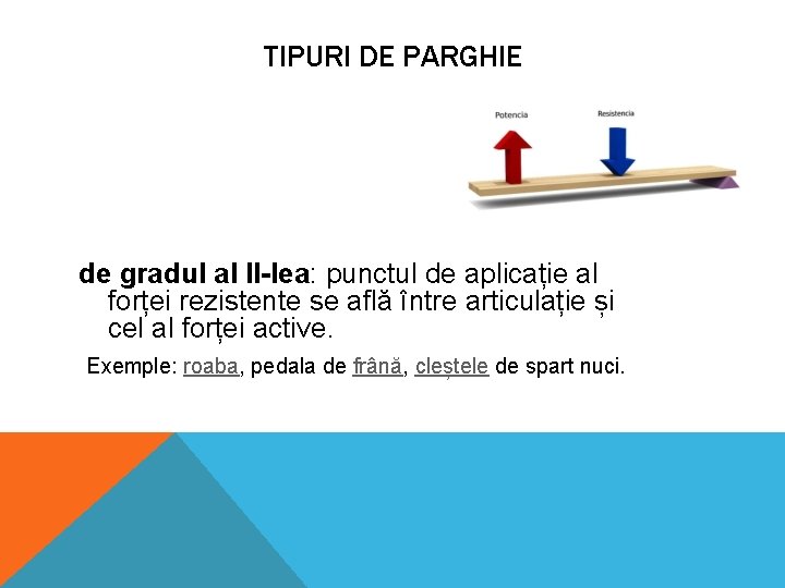 TIPURI DE PARGHIE de gradul al II-lea: punctul de aplicație al forței rezistente se