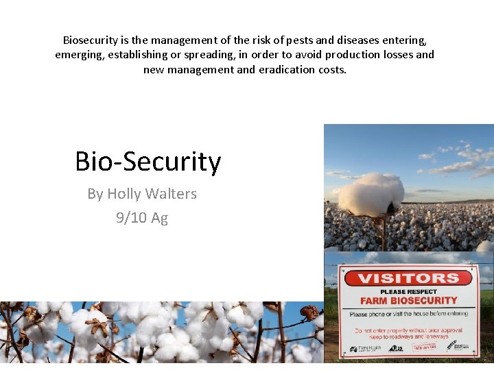 Biosecurity is the management of the risk of pests and diseases entering, emerging, establishing