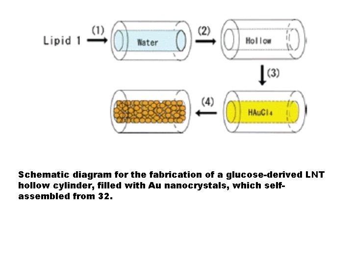 Schematic diagram for the fabrication of a glucose-derived LNT hollow cylinder, filled with Au