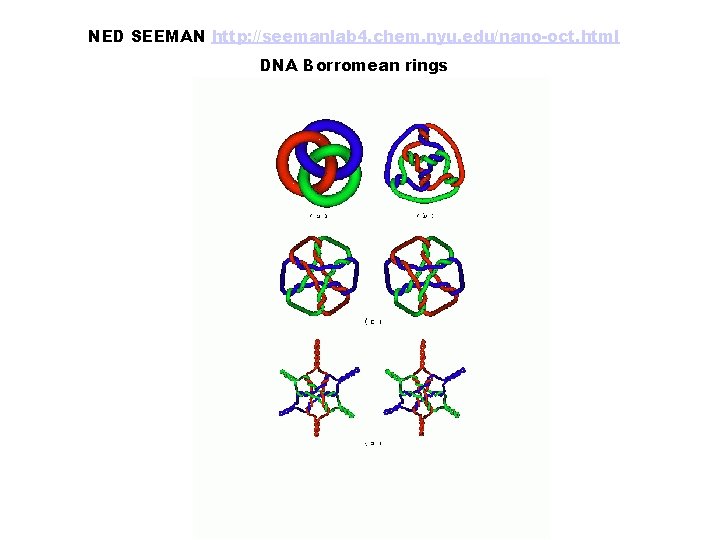 NED SEEMAN http: //seemanlab 4. chem. nyu. edu/nano-oct. html DNA Borromean rings 