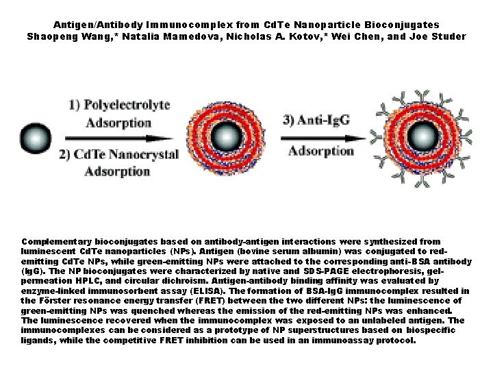 Antigen/Antibody Immunocomplex from Cd. Te Nanoparticle Bioconjugates Shaopeng Wang, * Natalia Mamedova, Nicholas A.