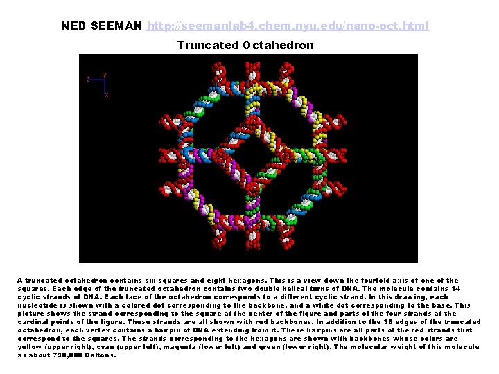 NED SEEMAN http: //seemanlab 4. chem. nyu. edu/nano-oct. html Truncated Octahedron A truncated octahedron