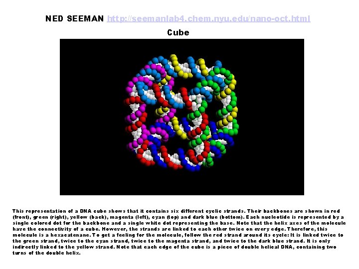 NED SEEMAN http: //seemanlab 4. chem. nyu. edu/nano-oct. html Cube This representation of a