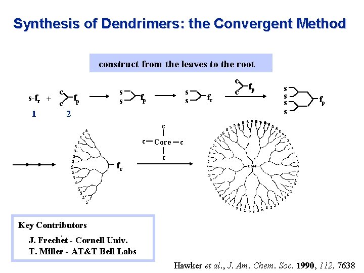 Synthesis of Dendrimers: the Convergent Method construct from the leaves to the root c