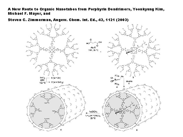 A New Route to Organic Nanotubes from Porphyrin Dendrimers, Yoonkyung Kim, Michael F. Mayer,