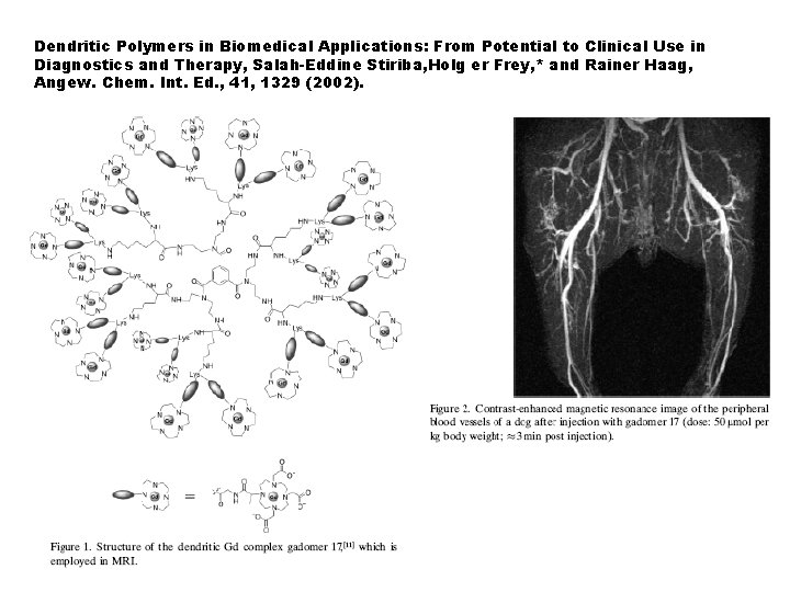 Dendritic Polymers in Biomedical Applications: From Potential to Clinical Use in Diagnostics and Therapy,