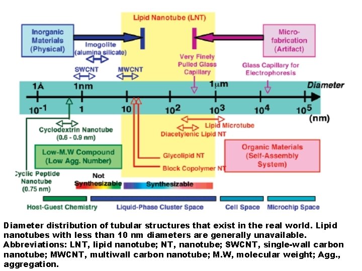 Diameter distribution of tubular structures that exist in the real world. Lipid nanotubes with