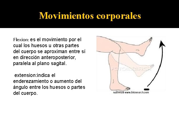 Movimientos corporales Flexion: es el movimiento por el cual los huesos u otras partes