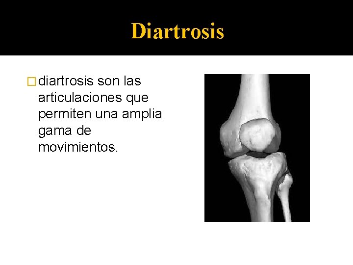 Diartrosis � diartrosis son las articulaciones que permiten una amplia gama de movimientos. 