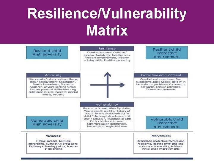 Resilience/Vulnerability Matrix 