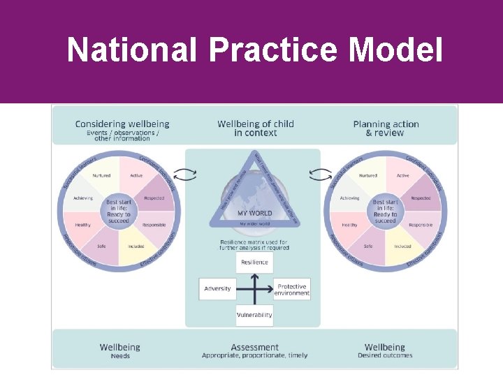 National Practice Model 