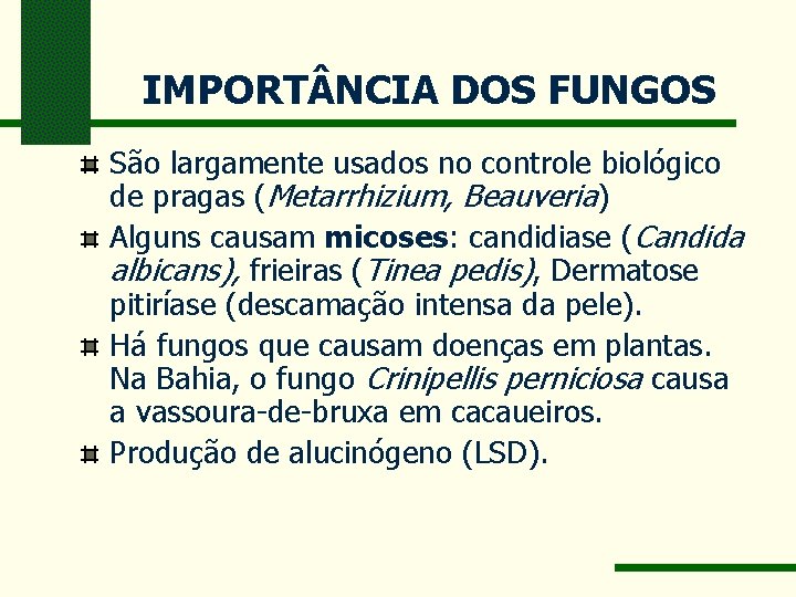IMPORT NCIA DOS FUNGOS São largamente usados no controle biológico de pragas (Metarrhizium, Beauveria)