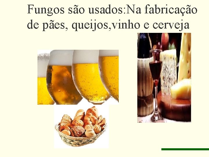 Fungos são usados: Na fabricação de pães, queijos, vinho e cerveja 