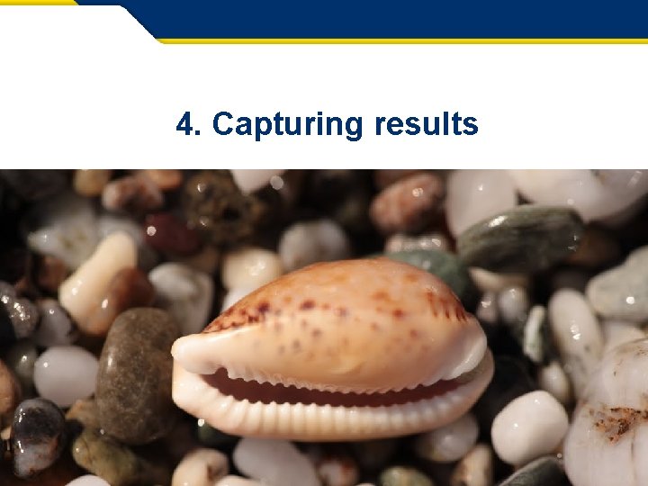 4. Capturing results 20 Info Day Brussels – 24 April 2015 