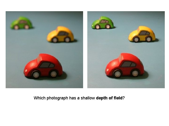 Which photograph has a shallow depth of field? 
