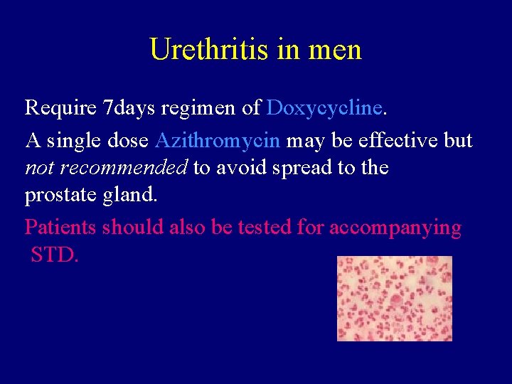 azithromycin for urinary tract infection)