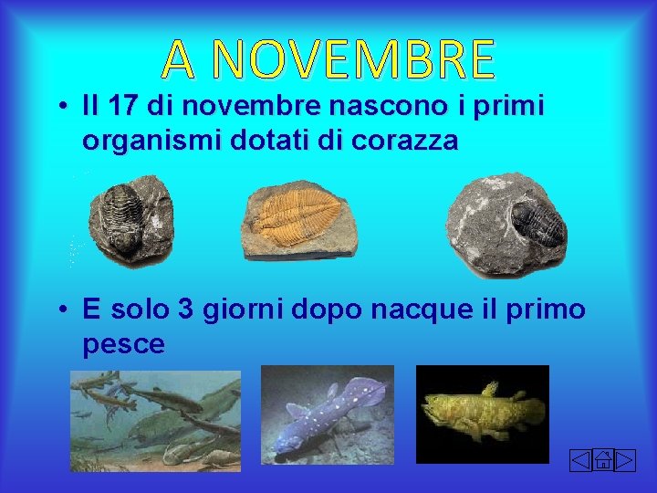 A NOVEMBRE • Il 17 di novembre nascono i primi organismi dotati di corazza A NOVEMBRE • Il 17 di novembre nascono i primi organismi dotati di corazza