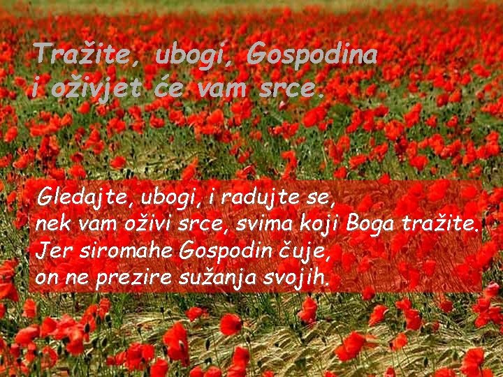 Tražite, ubogi, Gospodina i oživjet će vam srce. Gledajte, ubogi, i radujte se, nek