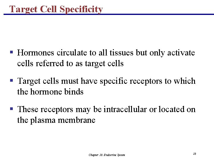 Target Cell Specificity § Hormones circulate to all tissues but only activate cells referred