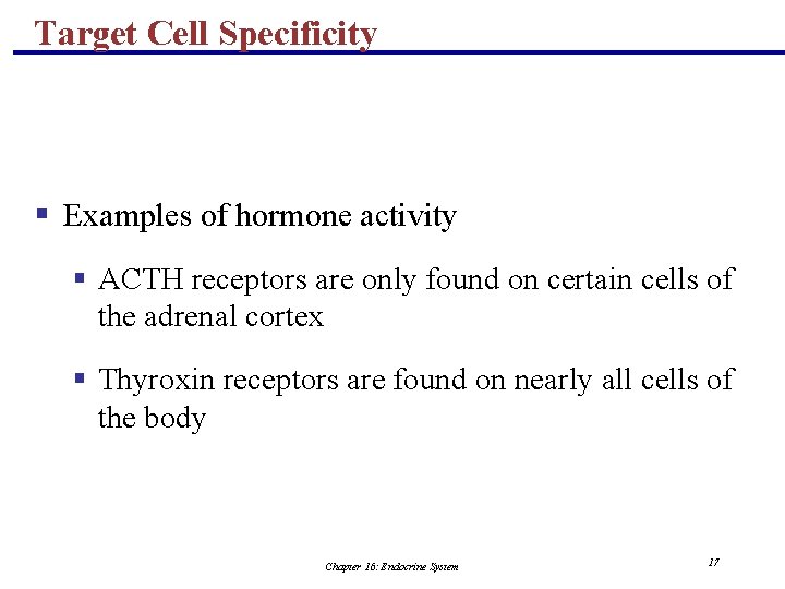 Target Cell Specificity § Examples of hormone activity § ACTH receptors are only found