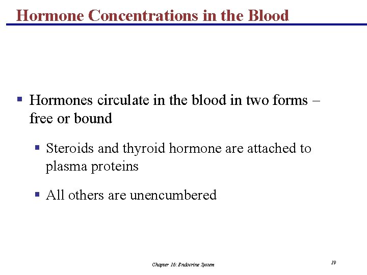 Hormone Concentrations in the Blood § Hormones circulate in the blood in two forms