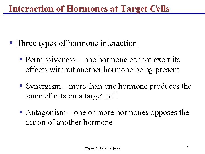 Interaction of Hormones at Target Cells § Three types of hormone interaction § Permissiveness