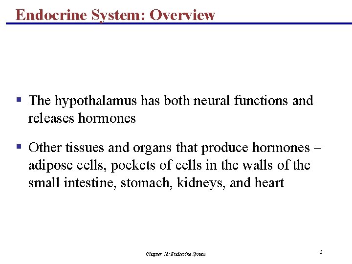 Endocrine System: Overview § The hypothalamus has both neural functions and releases hormones §