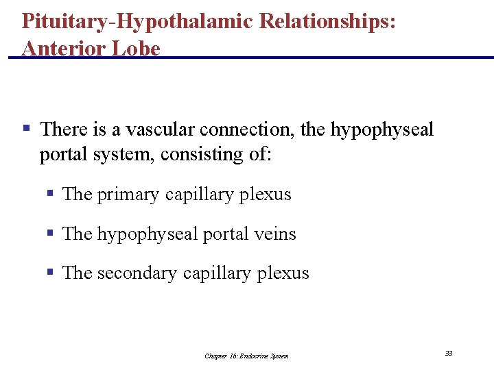 Pituitary-Hypothalamic Relationships: Anterior Lobe § There is a vascular connection, the hypophyseal portal system,